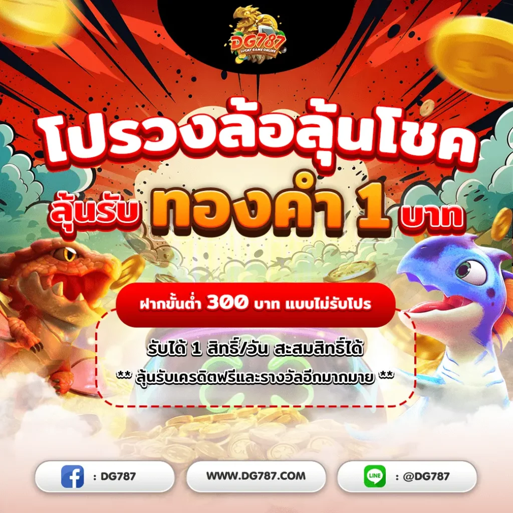 โปรโมชั่น DG787